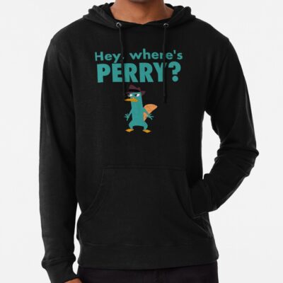 Phineas And Ferb 2 Hoodie